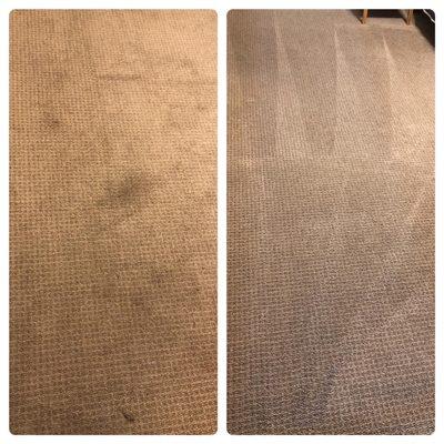 Before and after cleaning carpet