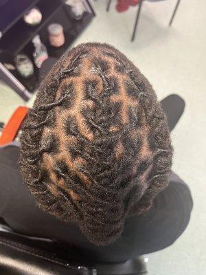 Loc retwist and style