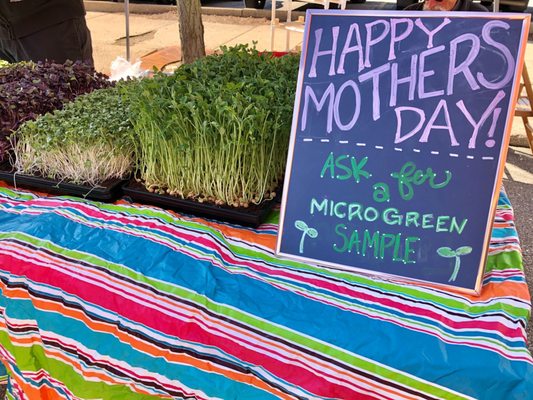 Micro greens