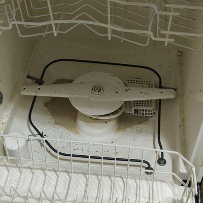 Live flies and maggots breeding in dishwasher. Move in day. https://youtube.com/shorts/kzRZfwO-rGY?si=tU7Oi3FwL4kUAytf