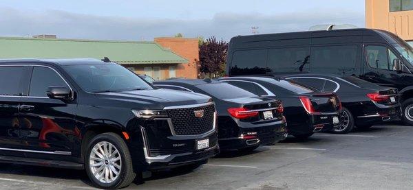 new escalade in their fleet with bmw and cadillac sedans!