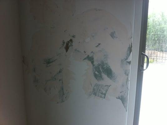 All the walls were soaked through and the mold smell was unbearable.