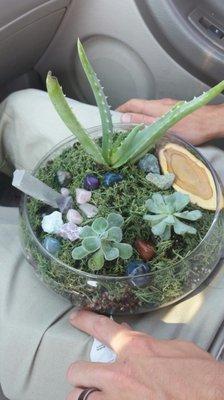 The bowl we built at the terrarium bar!