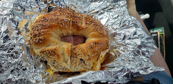 HOBO special everything bagel