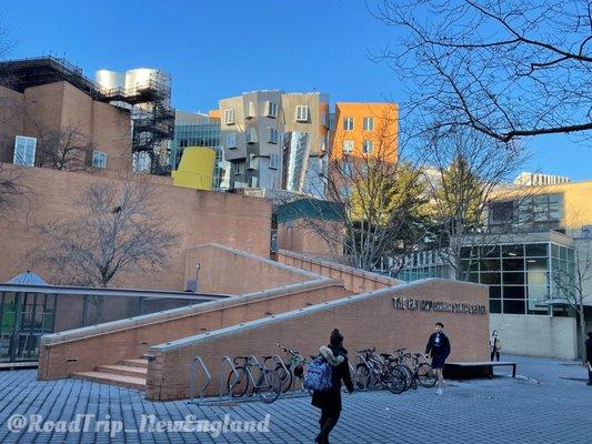 MIT Stata Center