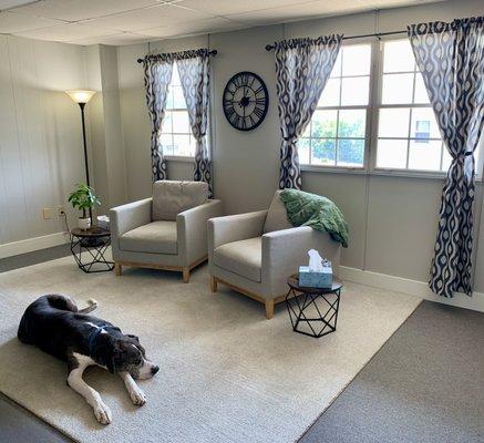 The therapy space, complete with sleepy therapy dog, Lincoln.