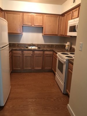 This is what my kitchen looked like when I moved in.