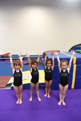 Pre-Team Gymnastics:  mastering gymnastics skills