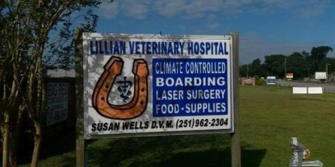 Lillian Veterinary Hospital