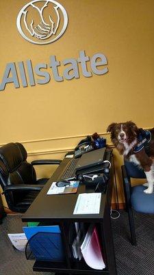 Allstate Insurance