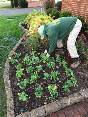 Planting