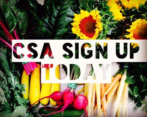 Sign ups for the 2017 Sandhill Farms CSA are happening now at www.sandhillfarms.org!