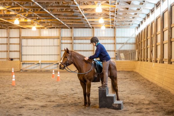 Foreman Equestrian Arts And Science