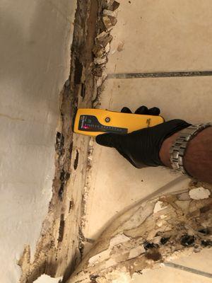 Mold Inspections Black Mold Analysis 619-990-2885. Bathroom with Wet drywall and toxic black mold growing. San Diego