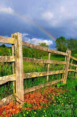 Sometimes a fence is just a fence. Sometimes it is evidence of the true boundary location.