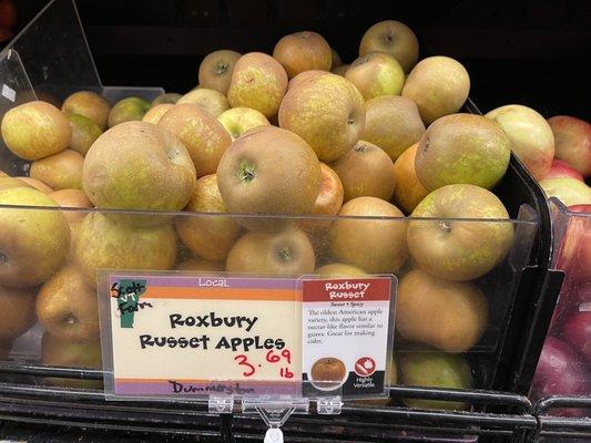 Roxbury Russet Apple