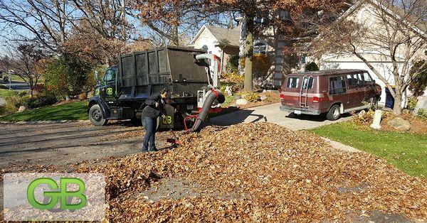 Fall Cleanup services