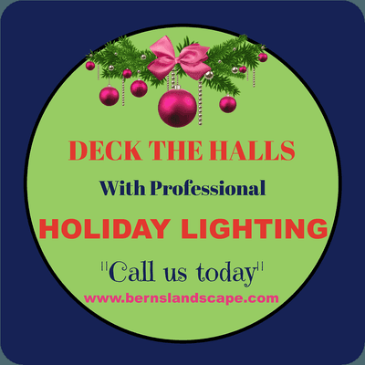 Deck the Halls with professional Holiday Lighting!