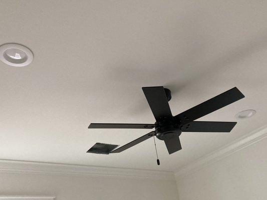 Ceiling fan