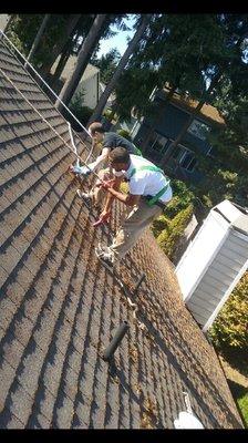 Moss removal done by hand.