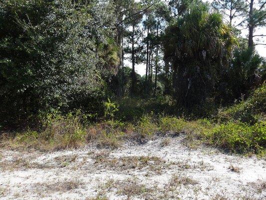 Waterfront canal Lot 6 SADNET LN, NORTH PORT, FL   $20,000 come build your house on the Creighton Waterway, a freshwater canal.