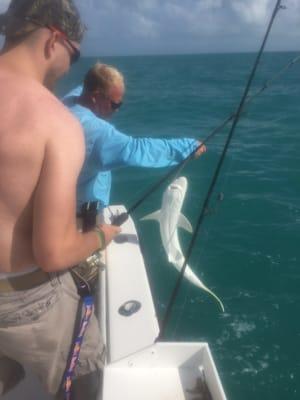 We caught a couple of sharks along the way.