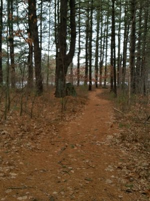 Path toward the reservoir