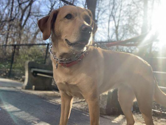 Ellie at the park