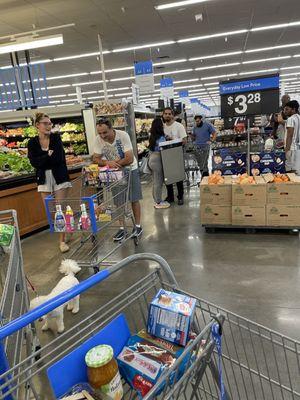 The lines to get into check out are about two blocks long, extending clear from the front of the store all the way to the back.