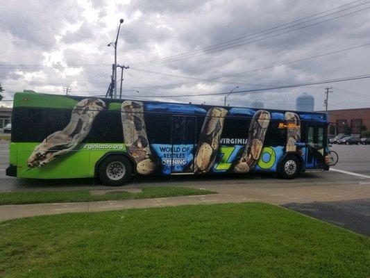 A full wrap on an HRT bus for the Virginia Zoo.