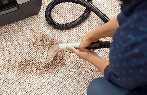 Complete Carpet Cleaning