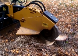 Stump Removal