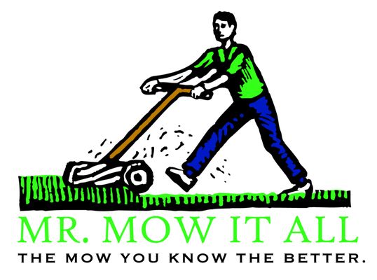 Mr Mow It All