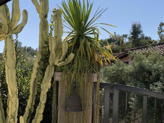 Cacti entrance.