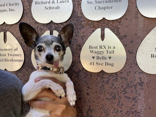 Great memorial plaque.