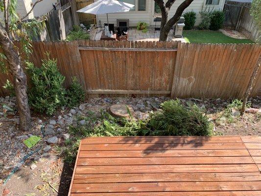 After picture of the backyard after tree service