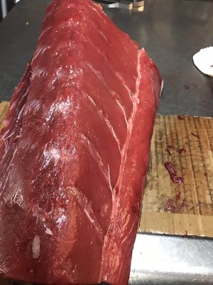 Fresh wild bluefin tuna