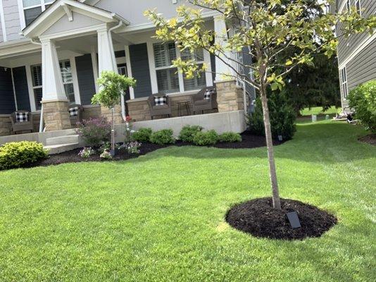 Mulch/Bed Edging