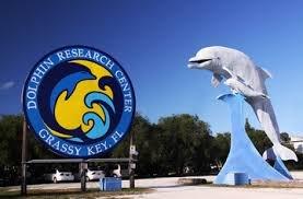 Dolphin Research Center