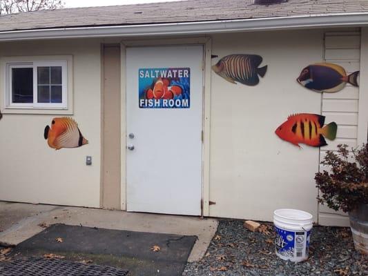 Fish sold in separate building. Saltwater and Freshwater and Corals and Live Rock