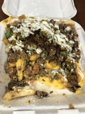 Fries with Carne Asada