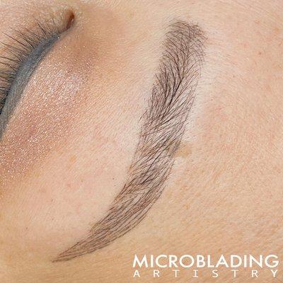 Healed Microblading close up