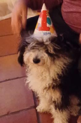 His 1st bday.  XMAS eve in Pembroke Pines (Dec 22)