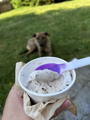 Amy & Alex's Homemade Ice Cream And Coffee