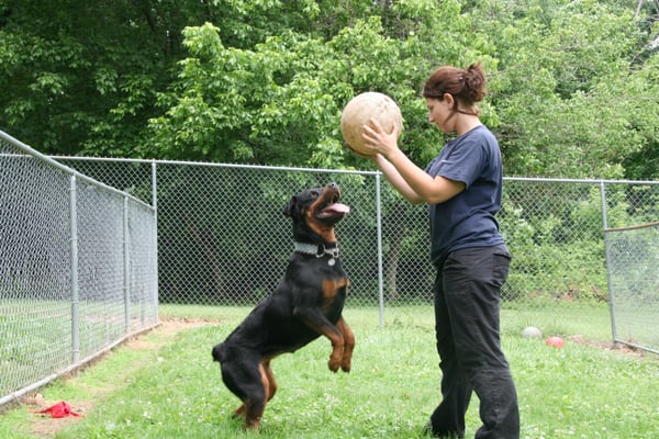 Jenny and Xena playing catch!