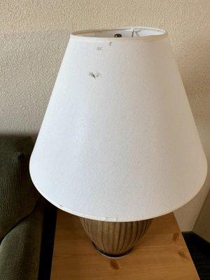 Gross stuff on lampshade in living room