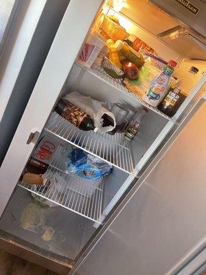 Fridge