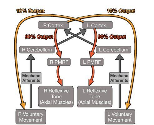 The Zone adjustment is much more than "popping or cracking"  spinal joints.