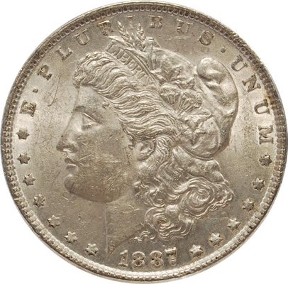 Morgan Silver Dollars