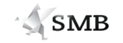 SMB Marketing LLC